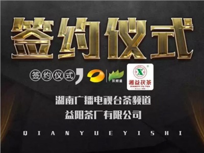 湘益茯，美茗揚 丨湘益茯茶與茶頻道達成長期戰(zhàn)略合作