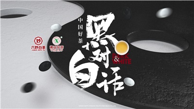 首屆黑白對話高峰論壇圓滿落幕！湘益茯茶備受關(guān)注！
